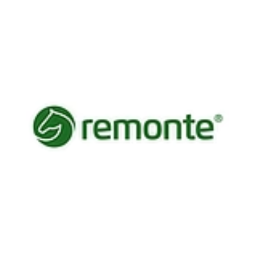 Remonte